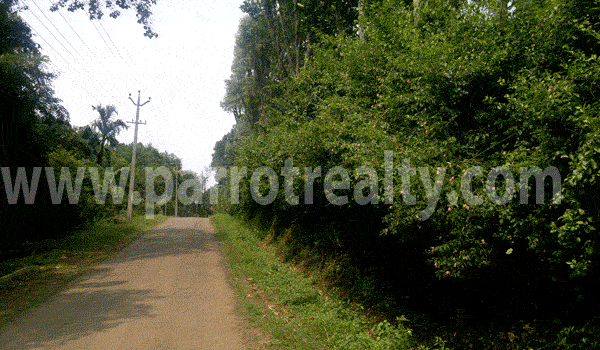 best agricultural investment opportunity! in wayanad