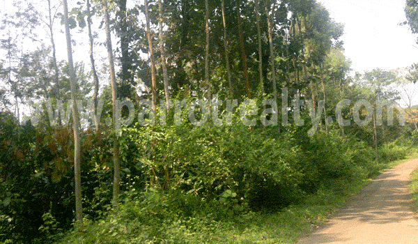 imagine the possibilities!! 2.85 acre land for sale.in panamaram,kalpetta,sultan battery,vellamunda area,vaithiri also