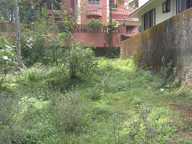 residential land for sale in calicut wayanad