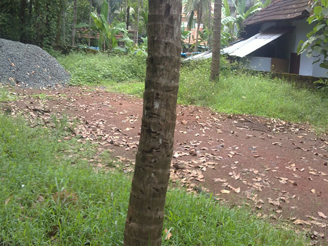 residential land for sale in calicut