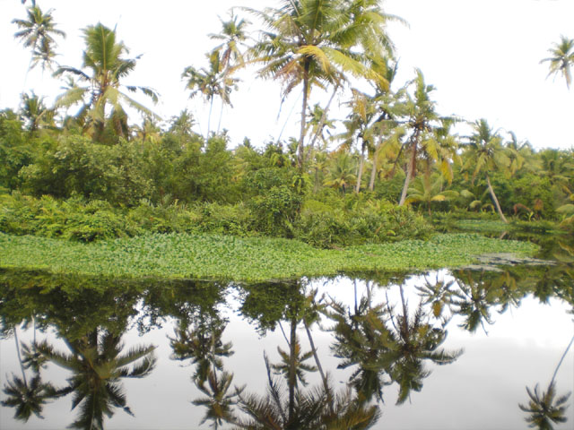 resort land for sale