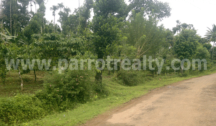 investment opportunity for you! anywhere in wayanad