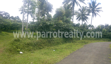 imagine the possibilities!! for this property in wayanad!
