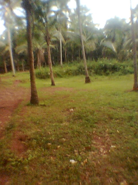 house plot for sale