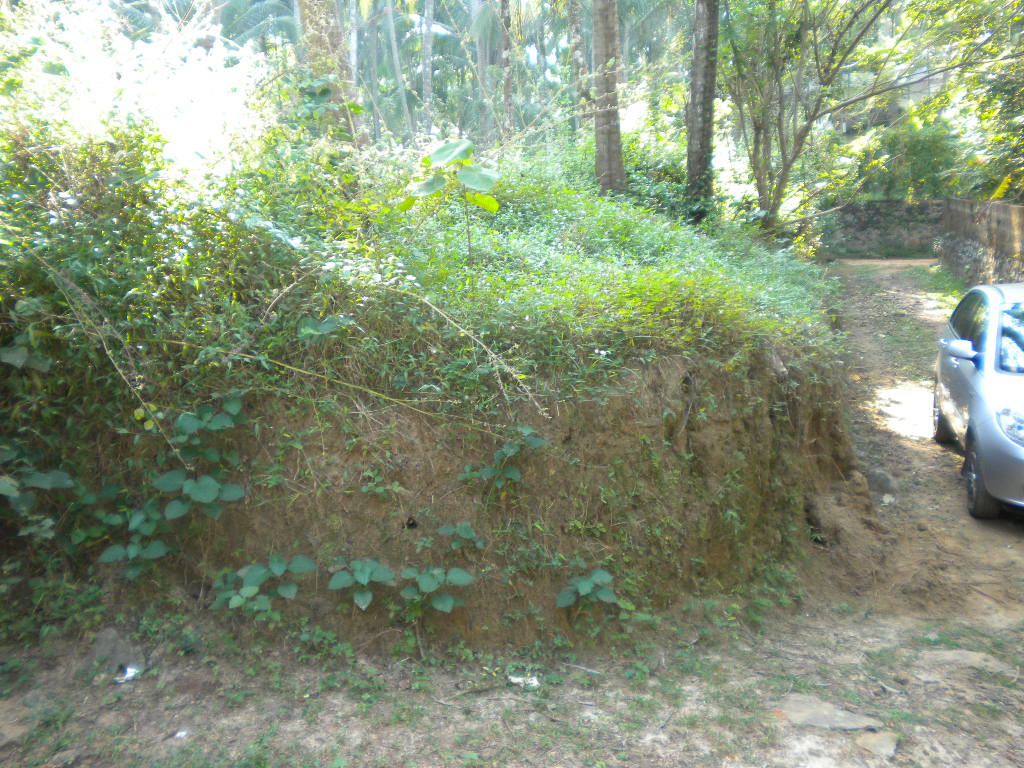 2 acre land just for 10 lakhs for sale in wayanad ,