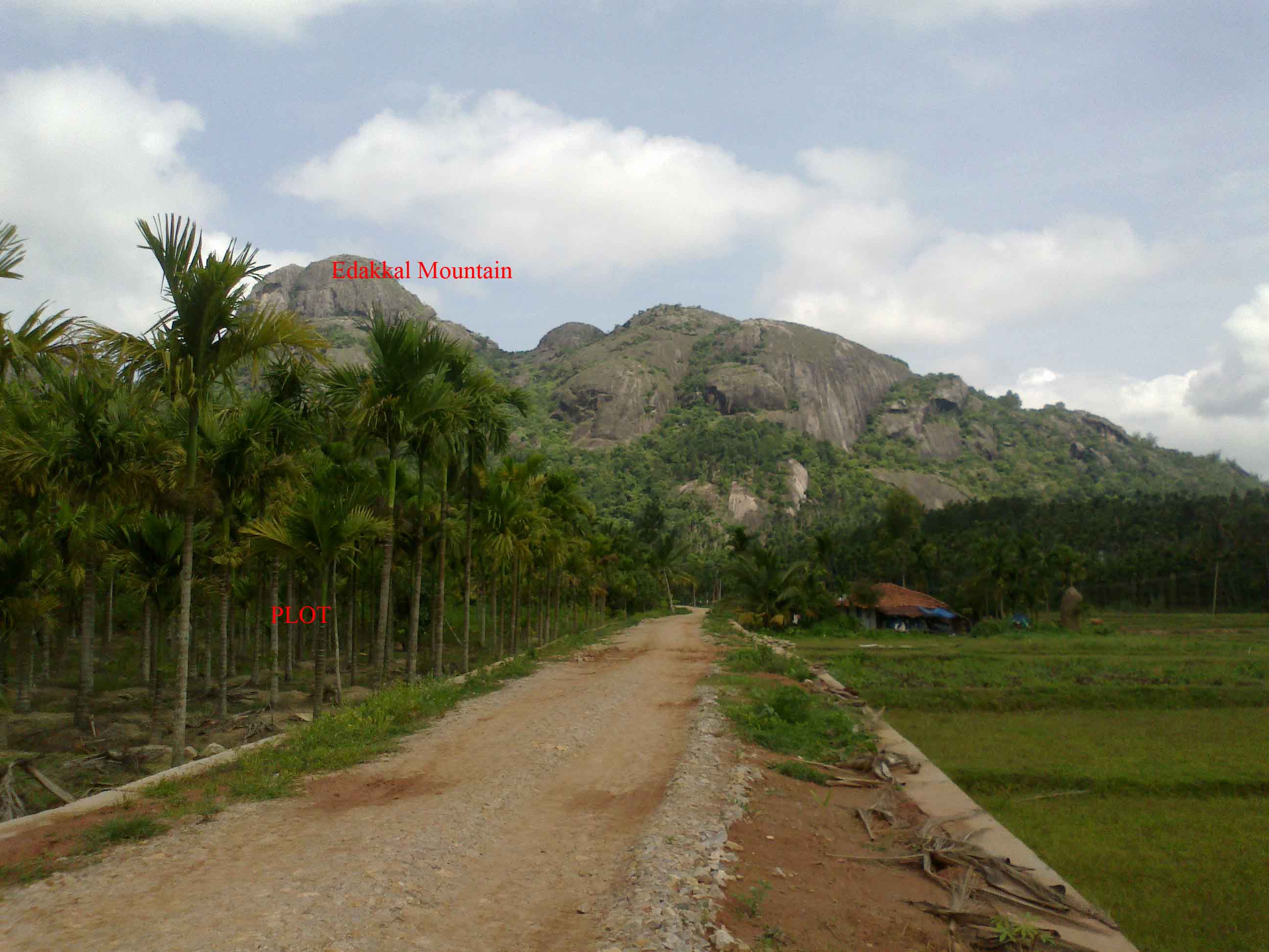 20 cent scenic plot for sale in wayanad , kerala