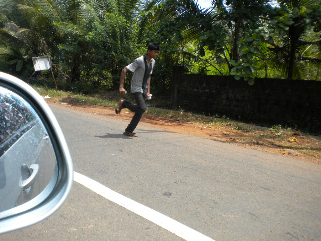 kotooli properties