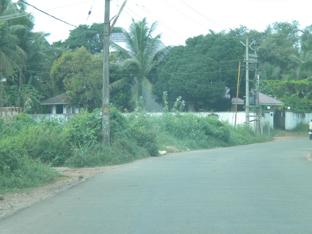 kotooli properties