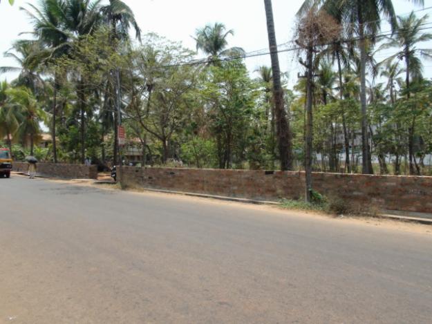 wayanadu road ashokapuram properties.