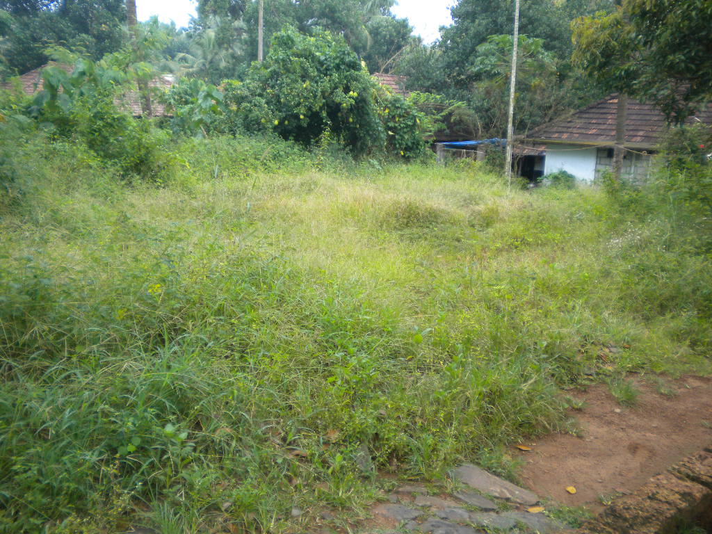 ngo quarters properties.