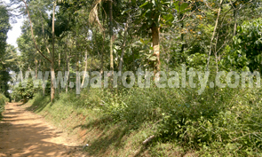 agricultural land investment!