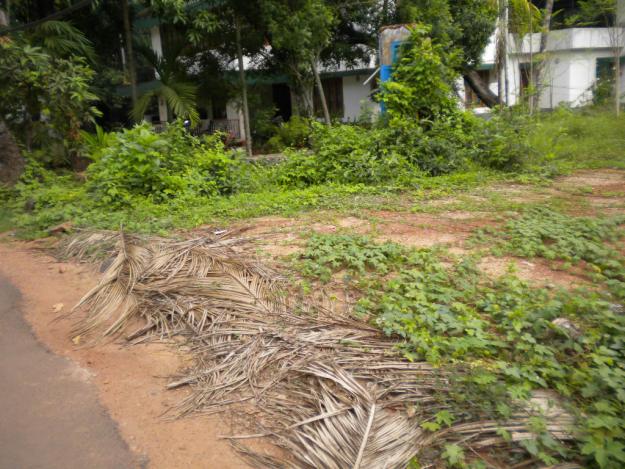 house plot for sale at calicut ngo quarters.