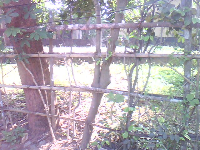 house plot for sale at westhill.