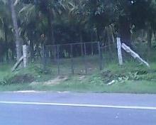 properties in calicut pottammel.