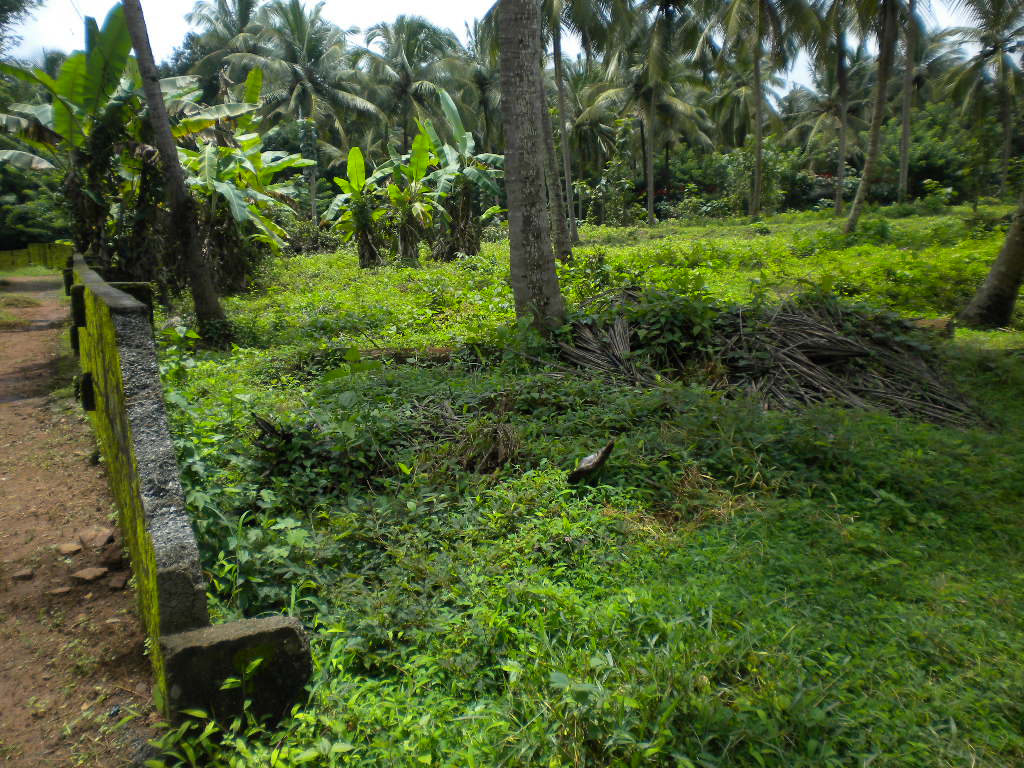 properties in calicut karaparampa.