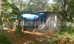 affordable house for a small family!