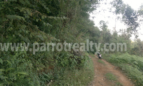 fantastic opportunity near to tourist area!