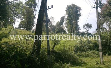 investment opportunity in kalpetta!