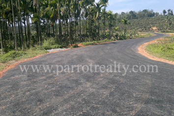 4.1acre agricultural land investment opportunity!