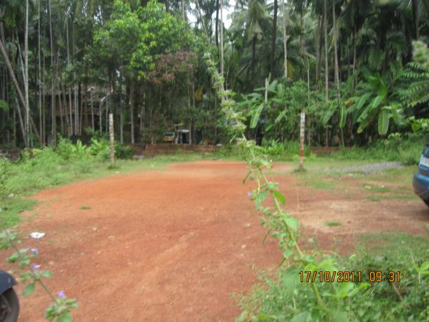 chealannur 8/2 rasidential land for sale