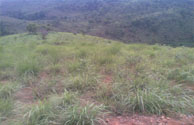 75 acre land for sale in wayanad, kerala