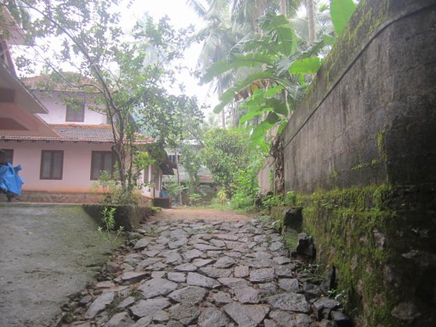 properties in calicut