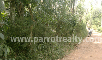 1acre agricultural land for sale in kenichira!