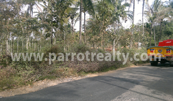 75cent plot for sale! build your dream home!