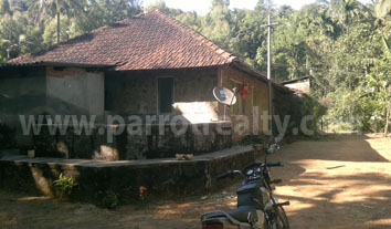 well maintained 8acre land for sale in padinjarathara!