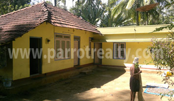 beautiful 5acre land for sale in pulpally
