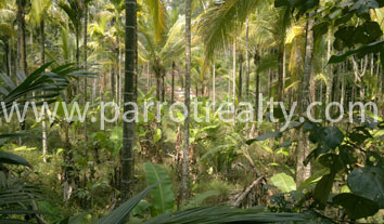 investment opportunity at best price in erulam!