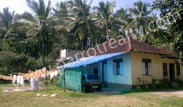 14acre agricultural land for investment!