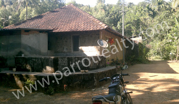 well maintained 8acre land for sale in padinjarathara!