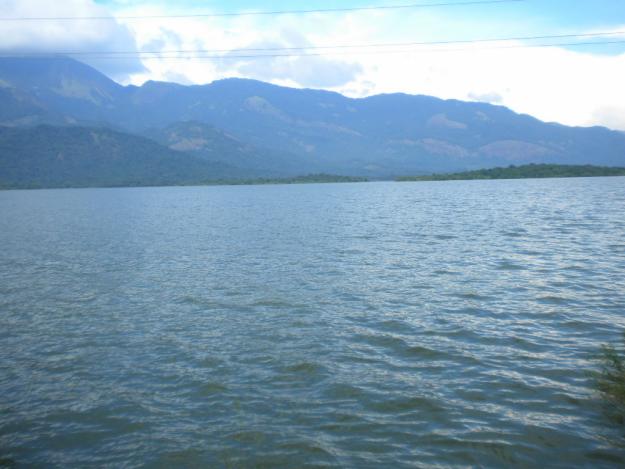 8 acre land for sale in calicut pantheerankavu â€” kozhikode