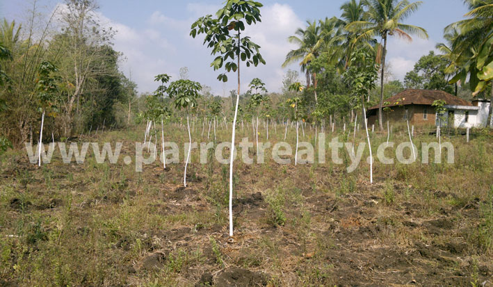 this 4 acre agricultural land is located in kabanigiri