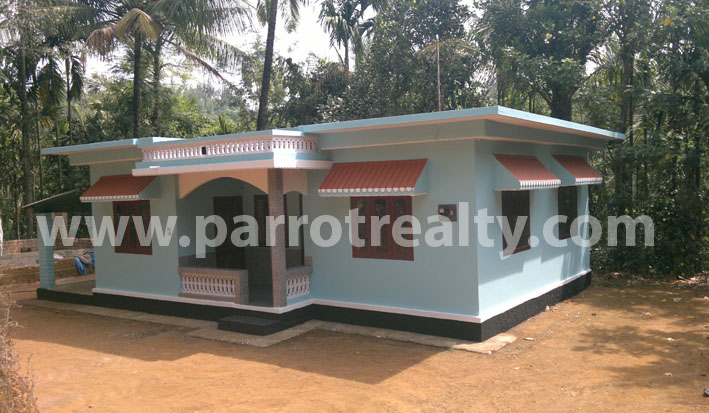 beautiful 3bhk with 80 cent for sale in kappikalam