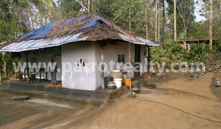 beautiful 4 acre agricultural land for sale in pulpally, wayanad.