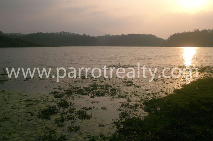 fantastic 1.35 acre land for sale in karapuzha dam site(near ambalavayal) .