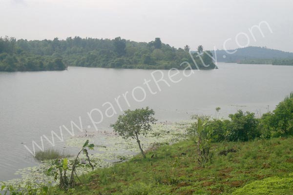 fantastic 1.10 acre land for sale in karapuzha dam site(meppadi)