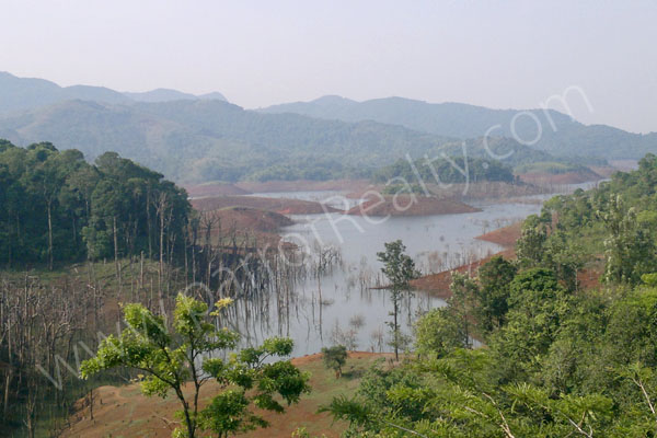 fantastic 1 acre land for sale in padinjarathara.