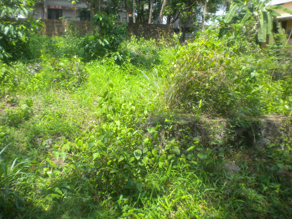 house for sale â€” kozhikode medicalcollage