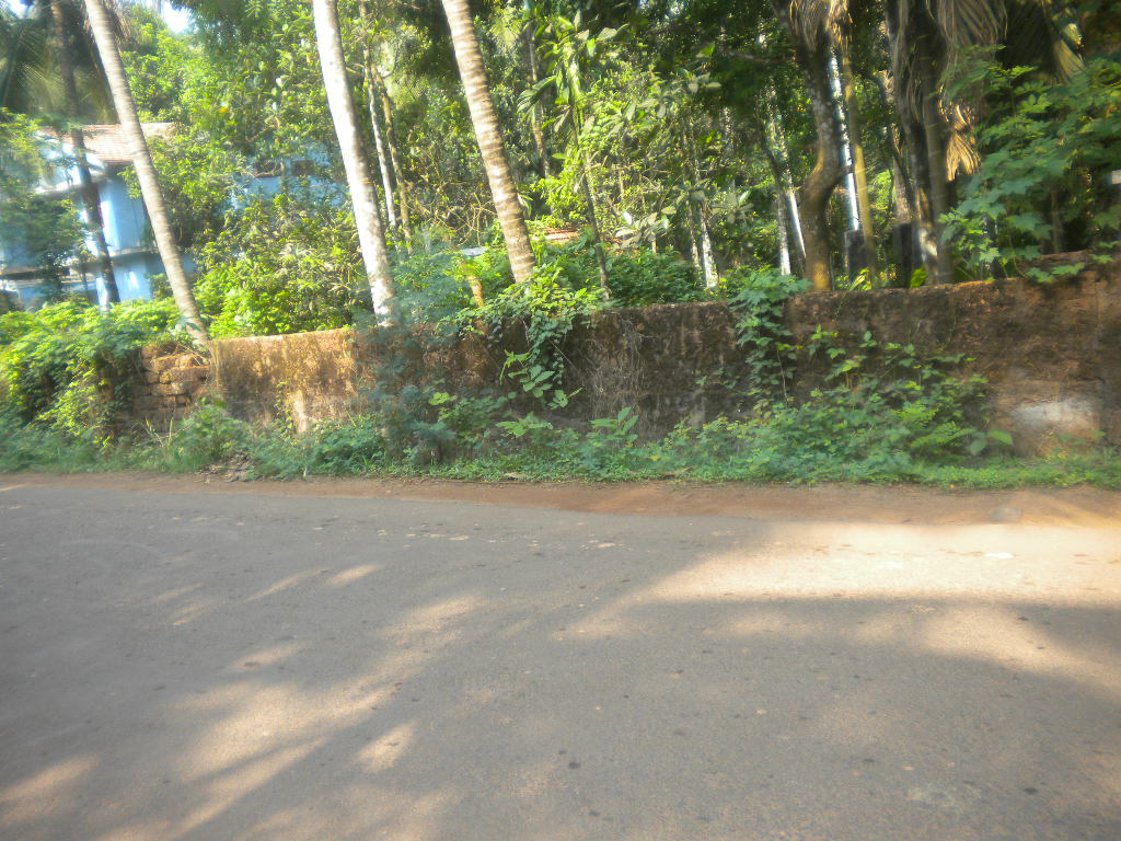 plot for sale at calicut peruvayal.