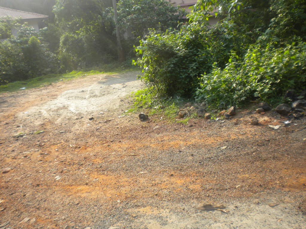 house plot for sale medicalcollege,calicut.