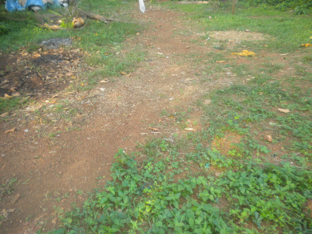 house plot for sale in calicut medicalcollege.
