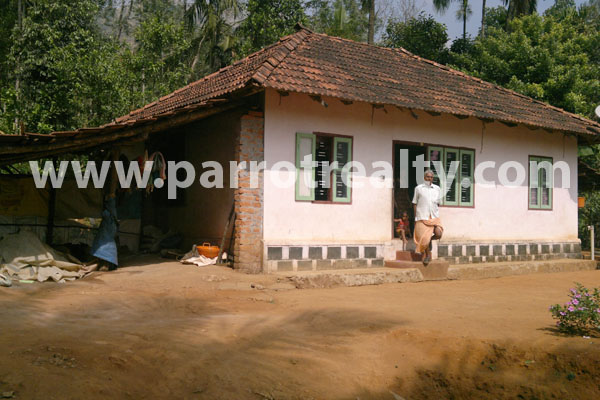 3 acre land for sale in kappikalam , padinjarathara.