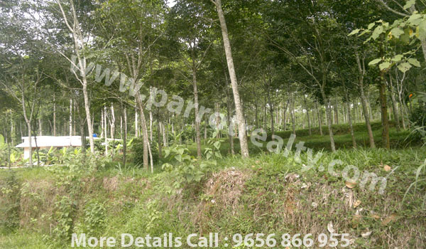 23 cent house plot for sale in near nadavayal.