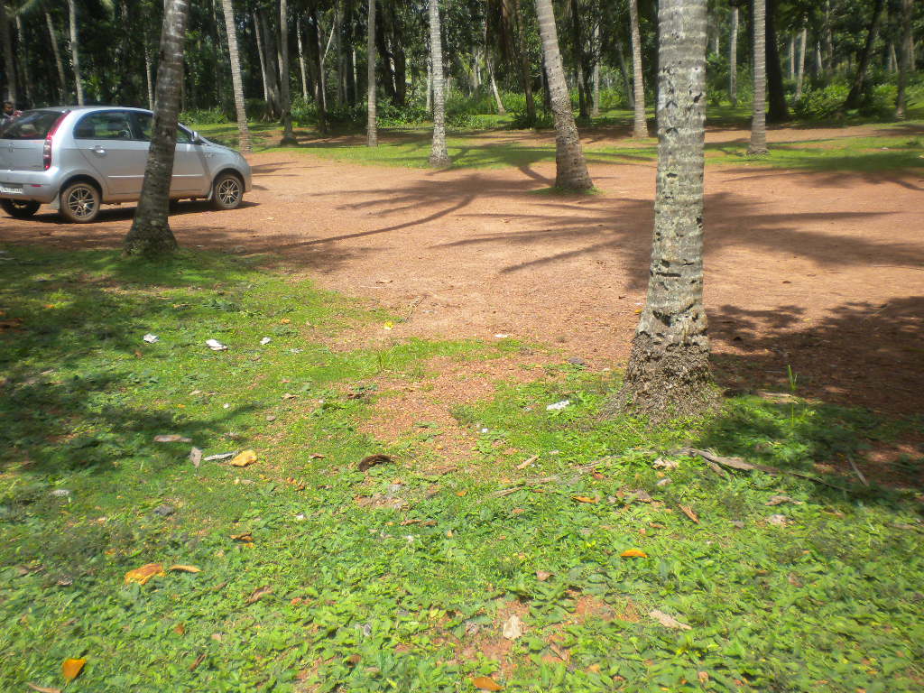land for sale in malikadavu,vengheri calicut.