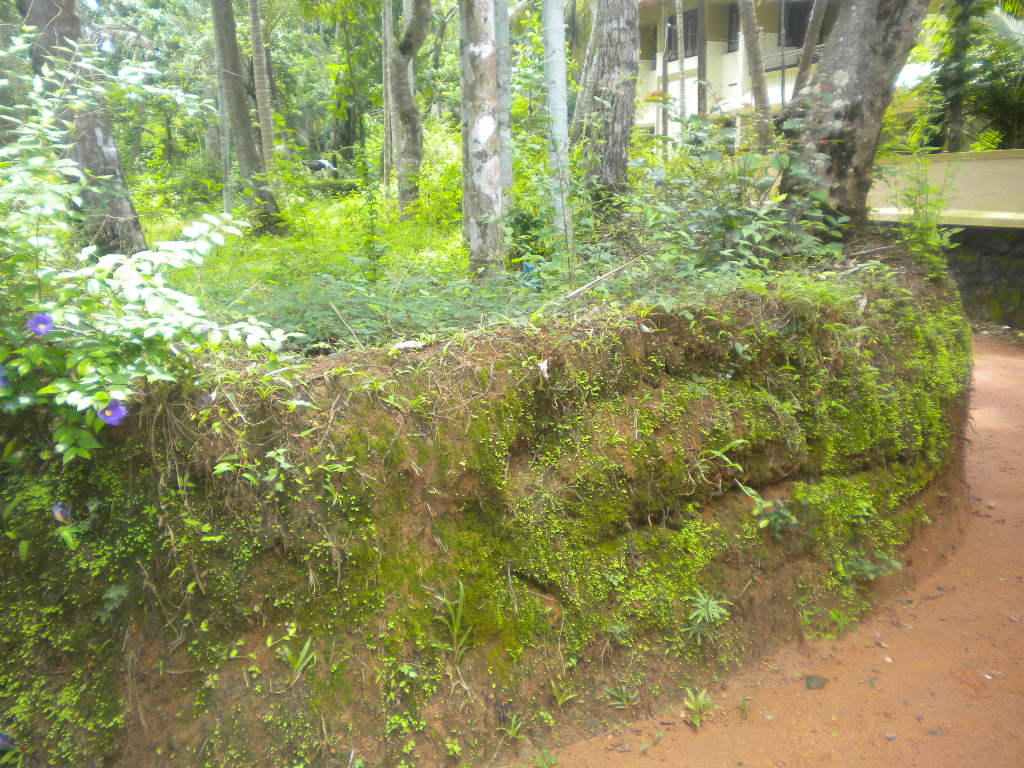 karaparampa,krishnannair road,malikadavu calicut