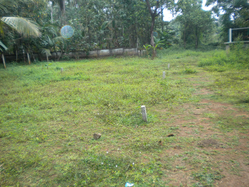 commercial land for sale in mavoor road, near ksrtc bus stand calicut
