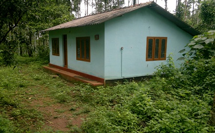an affordable stay/investment in wayanad.